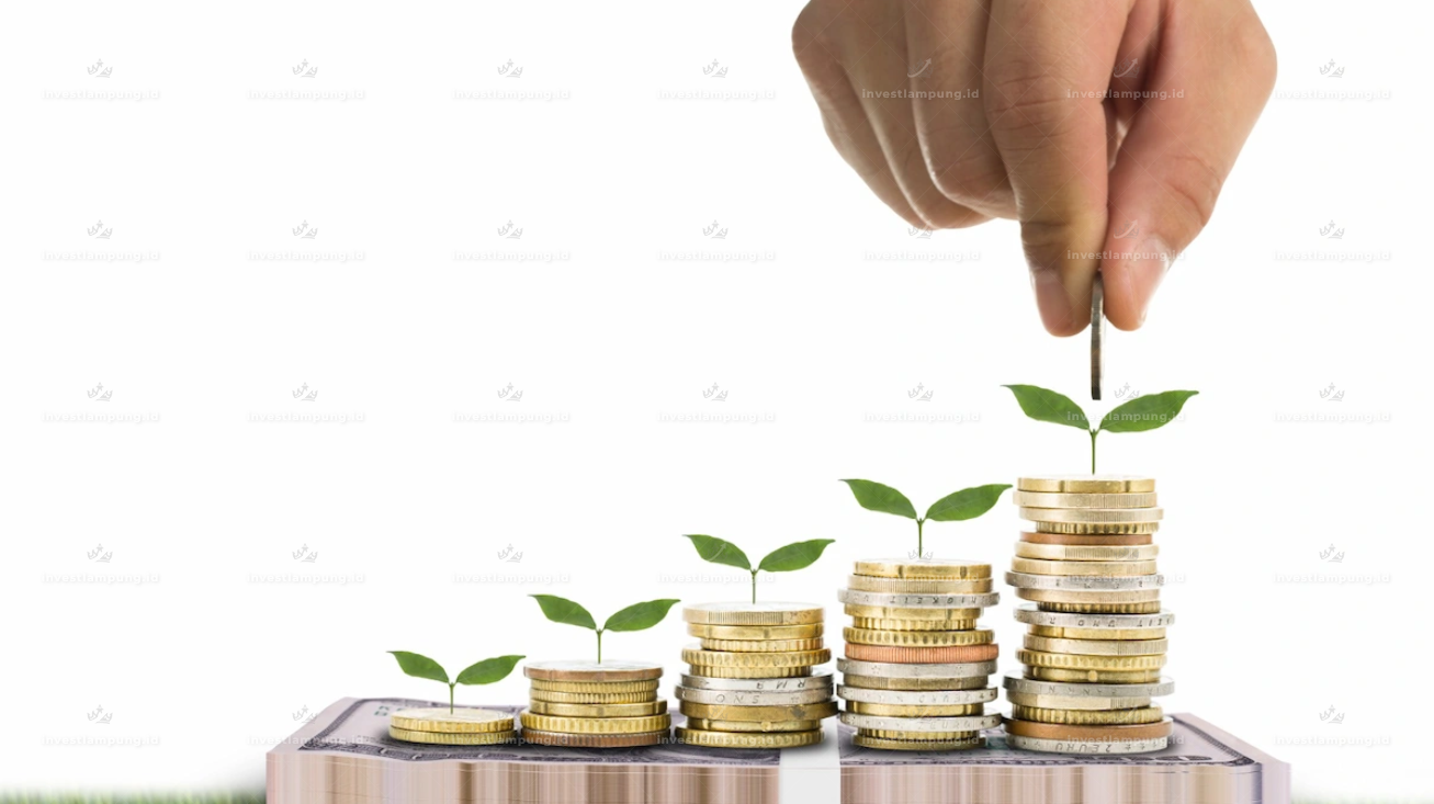 Sudah Tau Apa Itu Investasi? Ini Pengertian, Manfaat, Jenis, Risiko, dan Cara Mulai untuk Pemula