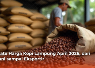 Update Harga Kopi Lampung April 2026, dari Petani sampai Eksportir