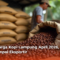 Update Harga Kopi Lampung April 2026, dari Petani sampai Eksportir