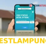Cara Mudah Cek Status Serta Langkah Memperbaiki Data Penerima Bantuan Desil DTSEN 2026
