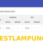 Cara Mudah Memantau Status Penerima Bansos PKH 2026 Lewat Situs Resmi Kemensos RI