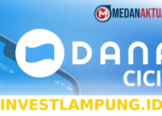 Cara Mudah Mengaktifkan Fitur DANA Cicil lewat 5 Langkah Praktis Terbaru Tahun 2026