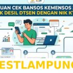 Cara Praktis Melihat Data Desil Bansos 2026 Melalui NIK Secara Online Tanpa Ribet Lagi
