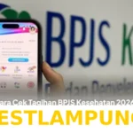 Panduan Lengkap 5 Cara Praktis Melacak Tagihan BPJS Kesehatan Terbaru Tahun 2026 Ini