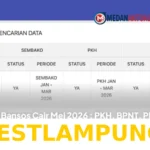 Panduan Lengkap Cara Cek Penerima 4 Jenis Bansos Pemerintah yang Cair Mei 2026 Pakai KTP