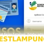 Panduan Lengkap Cara Cek Status Bansos Kemensos Tahun 2026 Lewat NIK Secara Lebih Mudah