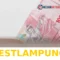Panduan Lengkap Cara Cek Status Penerima Bansos BPNT 600 Ribu Cair Bulan Mei 2026 Resmi