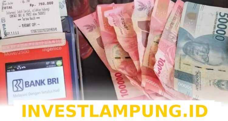Panduan Lengkap Melihat Status Penerima Bantuan Pangan BPNT Mei 2026 Senilai 600 Ribu