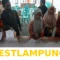 Panduan Lengkap Pencairan 5 Jenis Bantuan Sosial Mei 2026 Beserta Langkah Cek Mandiri