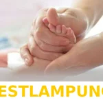 Panduan Lengkap Pendaftaran BPJS Kesehatan untuk Bayi Baru Lahir di Tahun 2026 Terbaru