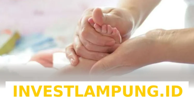 Panduan Lengkap Pendaftaran BPJS Kesehatan untuk Bayi Baru Lahir di Tahun 2026 Terbaru