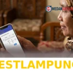Panduan Mudah Cek Status Penerima serta Data Desil PKH dan BPNT Periode Mei 2026 Resmi