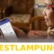 Panduan Mudah Cek Status Penerima serta Data Desil PKH dan BPNT Periode Mei 2026 Resmi