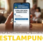 Panduan Mudah Melihat Status Desil Bansos Kemensos Mei 2026 Pakai NIK KTP Lewat Ponsel
