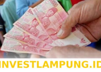 Panduan Mudah Melihat Status Penerima Bansos 2026 serta Data Desil DTSEN Lewat Website