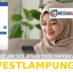 Cara Praktis Melihat Status Penerima Bansos Terbaru Bulan Juni 2026 Melalui Aplikasi