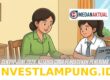 Panduan Lengkap Cara Cek Status Penerima PIP Juni 2026 Beserta Rincian Nominal Bantuan