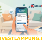 Panduan Mudah Melacak Status Pencairan Dana PKH 2026 Pakai Nomor NIK KTP di Internet