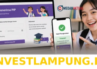 Panduan Mudah Mencari Status Pencairan Bansos PKH Juni 2026 Melalui NIK KTP Terupdate